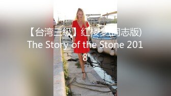 【台湾三级】红楼梦(同志版) The Story of the Stone 2018