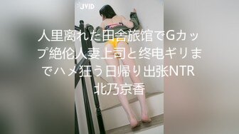 人里离れた田舎旅馆でGカップ絶伦人妻上司と终电ギリまでハメ狂う日帰り出张NTR 北乃京香