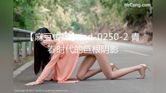 【麻豆传媒】md-0250-2 青春时代的巨根阴影