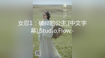 女忍1：破碎的公主,[中文字幕],Studio,Flow,-