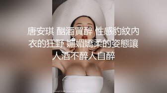 唐安琪 酗酒買醉 性感豹紋內衣的狂野 嫵媚嬌柔的姿態讓人酒不醉人自醉