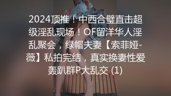 2024顶推！中西合璧直击超级淫乱现场！OF留洋华人淫乱聚会，绿帽夫妻【索菲娅-薇】私拍完结，真实换妻性爱轰趴群P大乱交 (1)