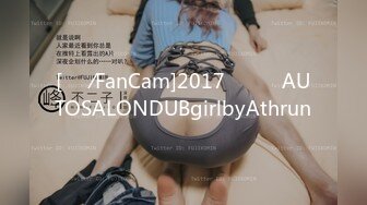 [직캠⁄FanCam]2017오토살롱AUTOSALONDUBgirlbyAthrun