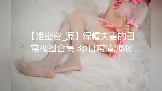 【泄密资_源】绿帽夫妻的日常视图合集 3p日常情趣炮