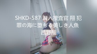 SHKD-587 潜入捜査官 翔 犯罪の海に堕ちる美しき人魚 西野翔