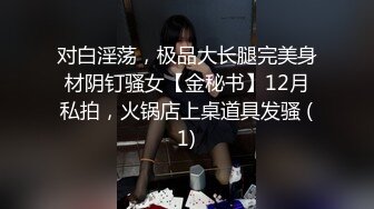 对白淫荡，极品大长腿完美身材阴钉骚女【金秘书】12月私拍，火锅店上桌道具发骚 (1)