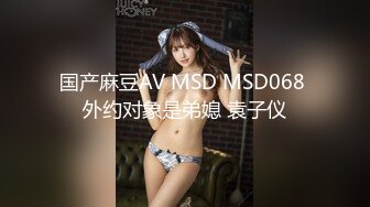 国产麻豆AV MSD MSD068 外约对象是弟媳 袁子仪