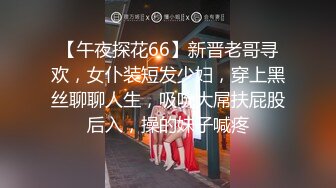 【午夜探花66】新晋老哥寻欢，女仆装短发少妇，穿上黑丝聊聊人生，吸吮大屌扶屁股后入，操的妹子喊疼