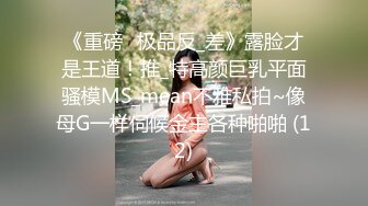 《重磅☛极品反_差》露脸才是王道！推_特高颜巨乳平面骚模MS_mean不雅私拍~像母G一样伺候金主各种啪啪 (12)