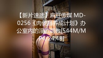 [MP4]91制片厂 合租男女 无法回房的她 成了我的炮友-陈萌