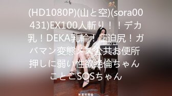 (HD1080P)(山と空)(sora00431)EX100人斬り！！デカ乳！DEKA乳輪！圧迫尻！ガバマン変態メス公共お便所 押しに弱い性欲絶倫ちゃん ことこSOSちゃん