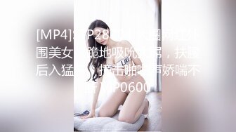 [MP4]STP28704 大圈网红外围美女，跪地吸吮大屌，扶腰后入猛干，撞击啪啪声娇喘不断 VIP0600