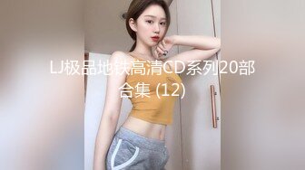 LJ极品地铁高清CD系列20部合集 (12)